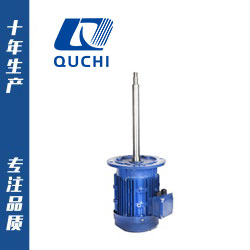 長軸化工專用電機(jī)