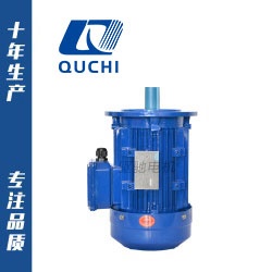 YE3系列短軸電機