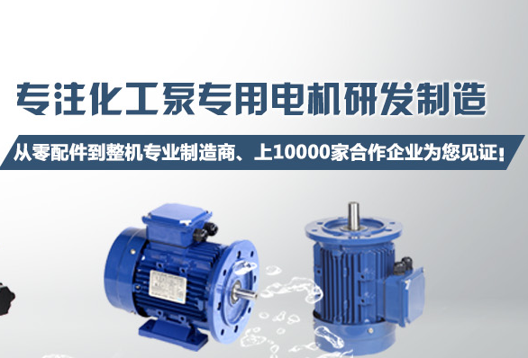 化工泵長(zhǎng)軸電機(jī)